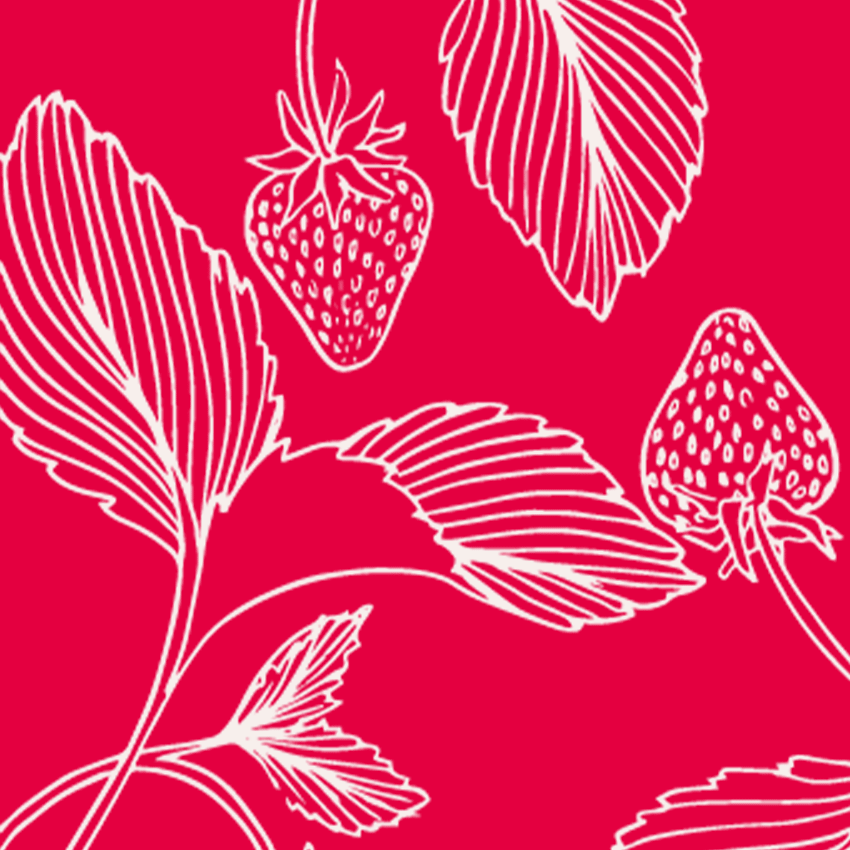 fraises economie symbiotique permaculture régénératif durable