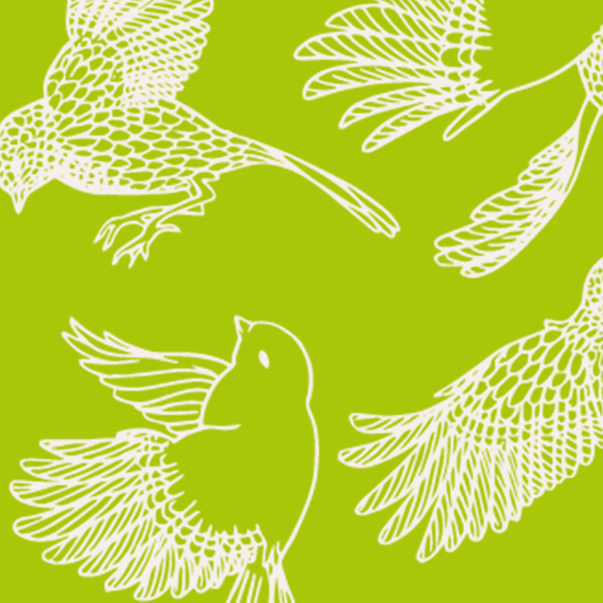 oiseaux economie symbiotique permaculture régénératif durable